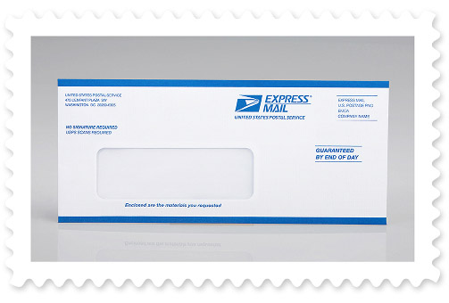 A Priority Mail Flat Rate&reg; envelope.